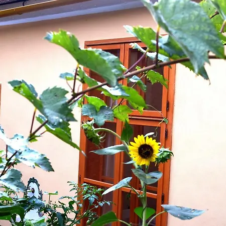Apartman For Eternity Apartament *